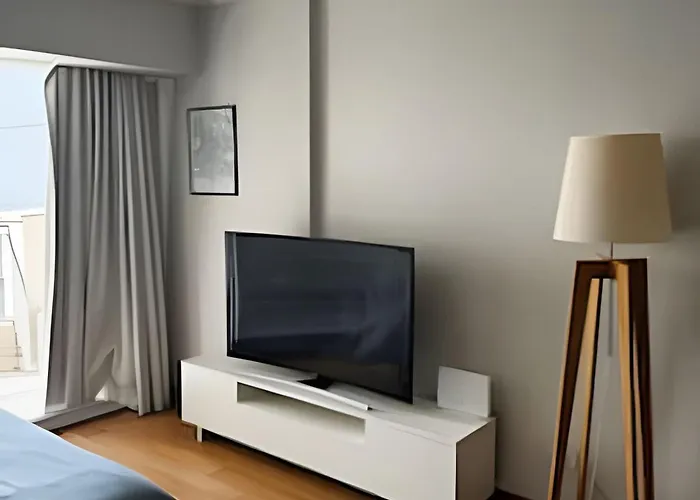 Luxury Apartment In Recoleta